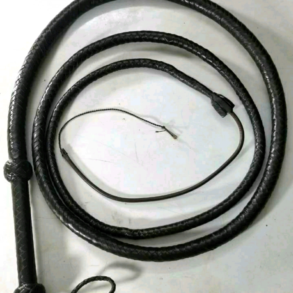 COPY - Bull Whip